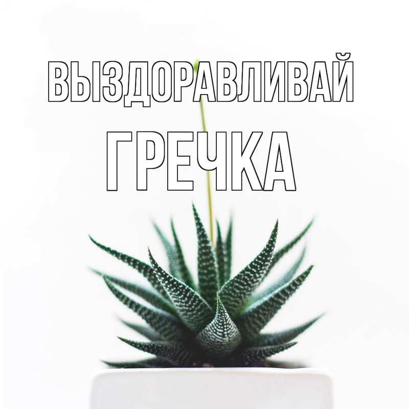 Картинка Выздоравливай, Гречка