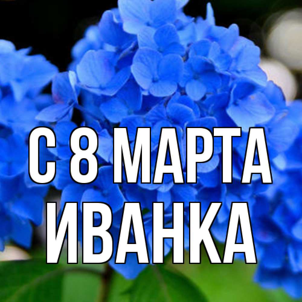 Открытка на каждый день с именем, Иванка C 8 МАРТА синие цветы Прикольная открытка с пожеланием онлайн скачать бесплатно 