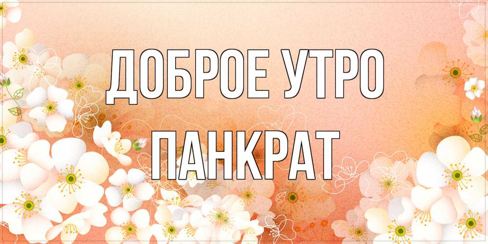 Открытка на каждый день с именем, Панкрат Доброе утро доброе утро с цветами Прикольная открытка с пожеланием онлайн скачать бесплатно 