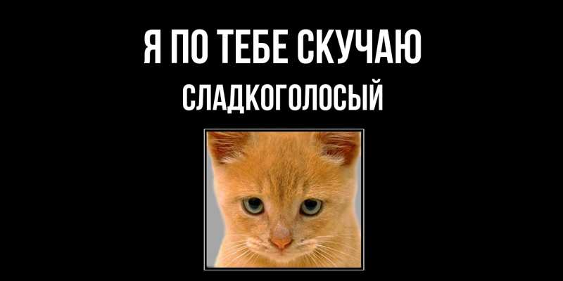 Картинка Я по тебе скучаю, Сладкоголосый