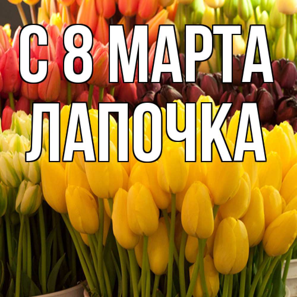 Открытка на каждый день с именем, лапочка C 8 МАРТА цветы Прикольная открытка с пожеланием онлайн скачать бесплатно 