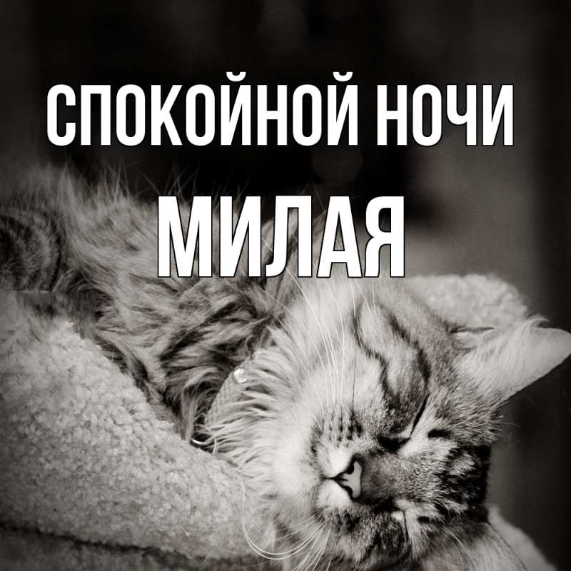Картинка Спокойной ночи, Милая