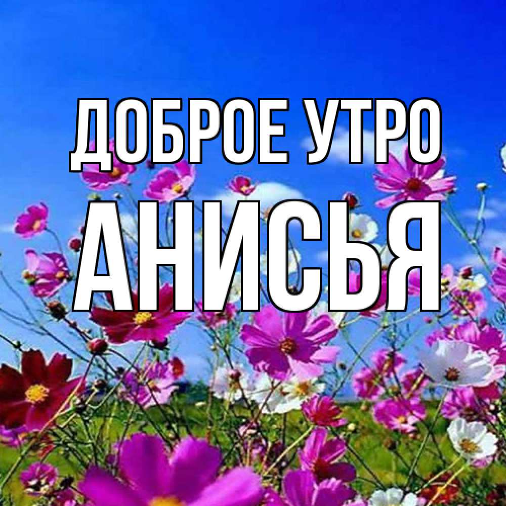 Открытка на каждый день с именем, Анисья Доброе утро сиреневые цветы Прикольная открытка с пожеланием онлайн скачать бесплатно 