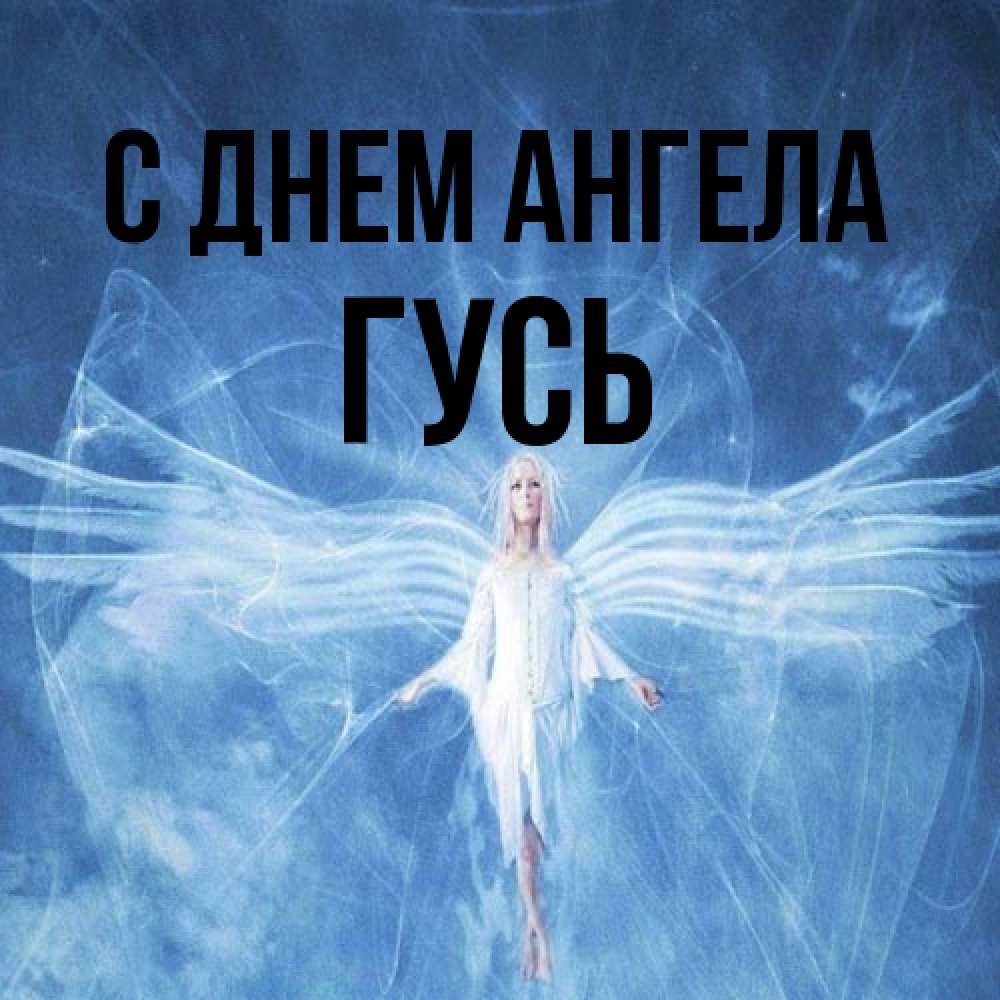 Открытка на каждый день с именем, Гусь С днем ангела голубой фон и крылья как у стрекозы Прикольная открытка с пожеланием онлайн скачать бесплатно 