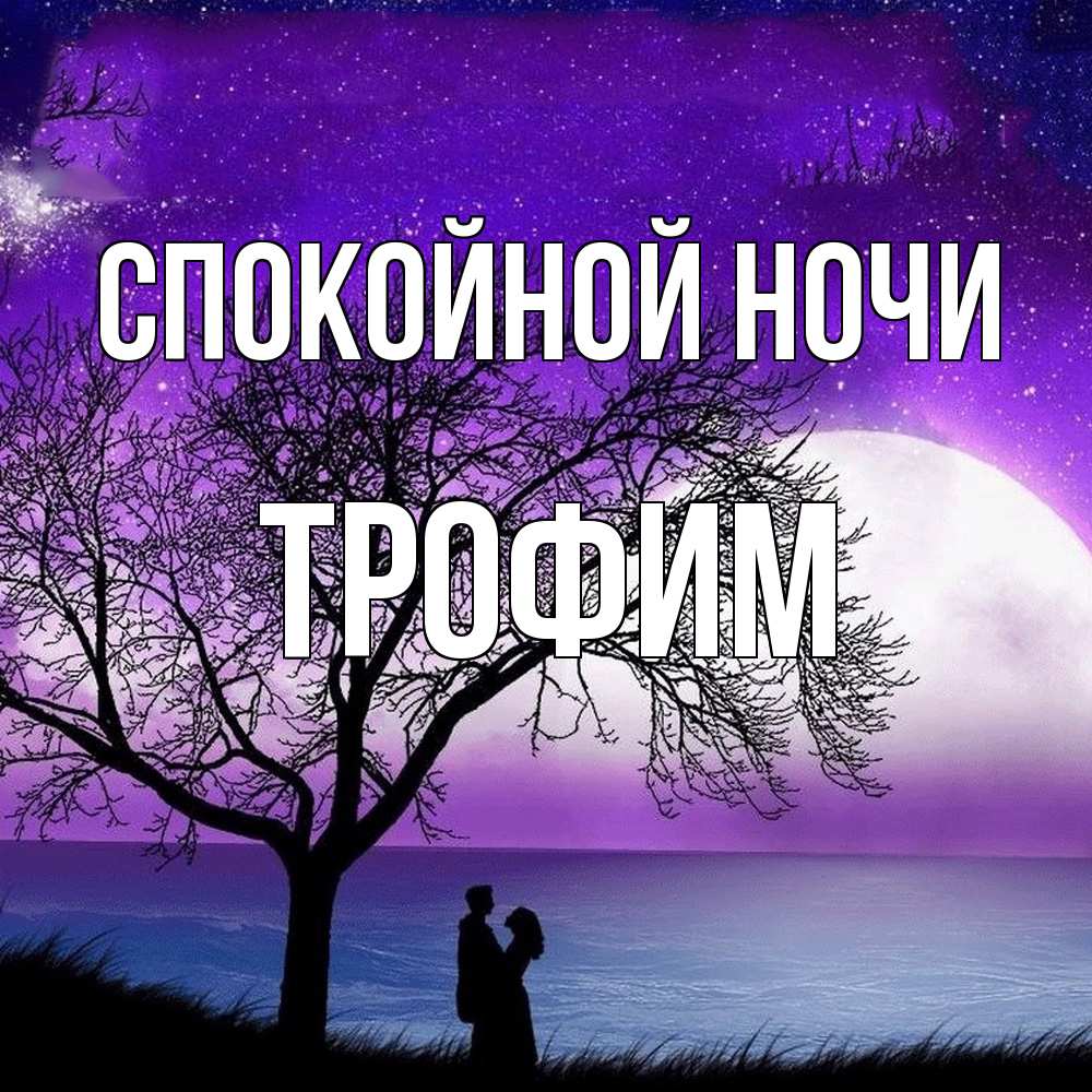 Открытка на каждый день с именем, Трофим Спокойной ночи огромная луна и парочка Прикольная открытка с пожеланием онлайн скачать бесплатно 