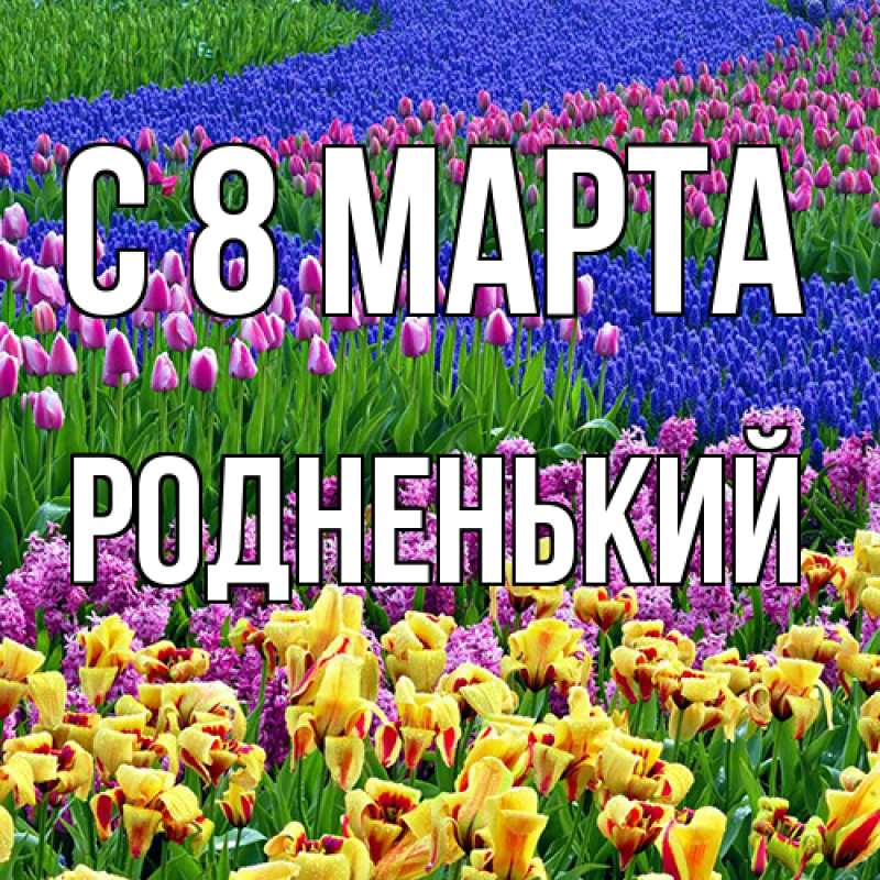Картинка C 8 МАРТА, Родненький
