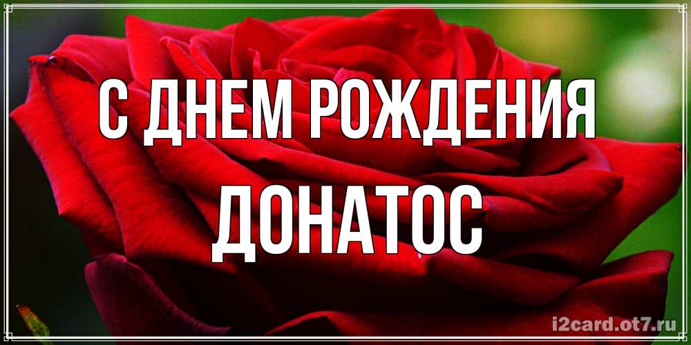 Открытка на каждый день с именем, Донатос С днем рождения розочка очень красивая Прикольная открытка с пожеланием онлайн скачать бесплатно 