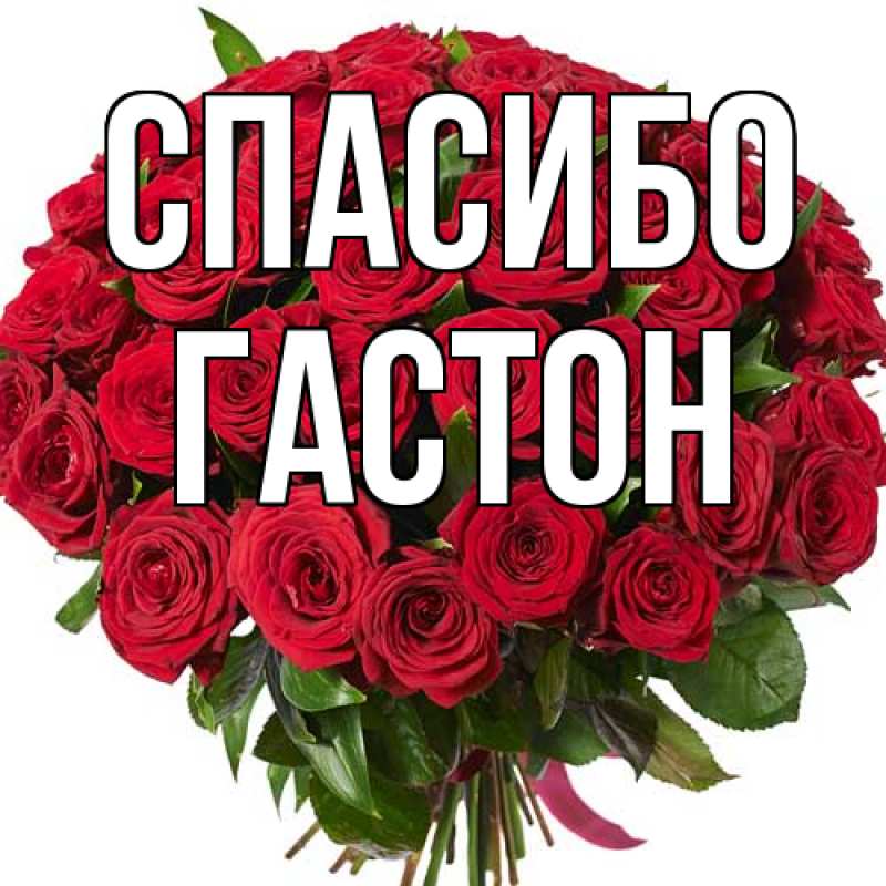 Картинка Спасибо, Гастон