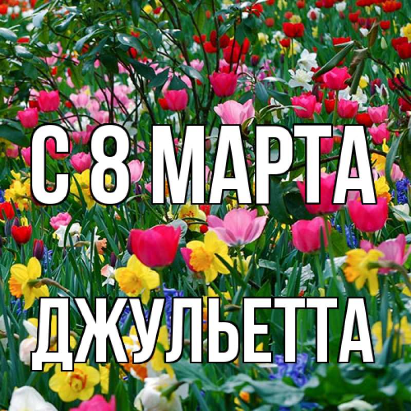 Картинка C 8 МАРТА, Джульетта