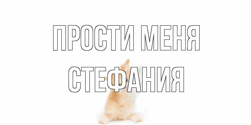 Картинка Прости меня, Стефания