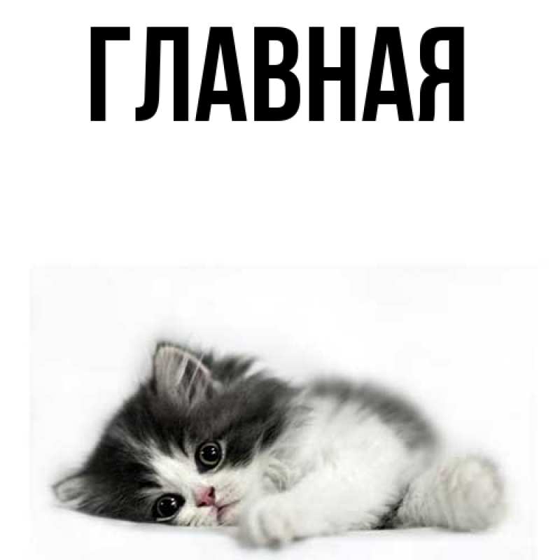 Картинка  с именем , настя