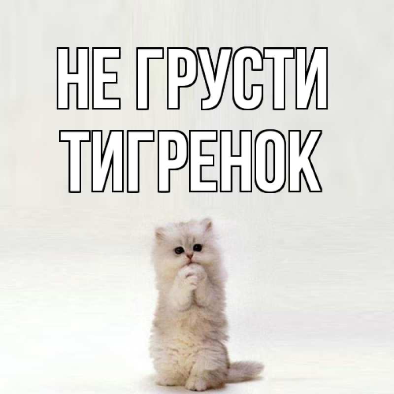 Картинка Не грусти, Тигpенок