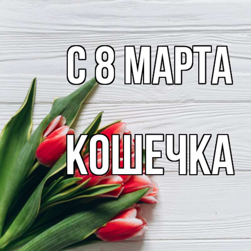 Картинка C 8 МАРТА, кошечка