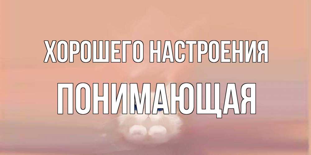 Открытка на каждый день с именем, Понимающая Хорошего настроения кошка Прикольная открытка с пожеланием онлайн скачать бесплатно 