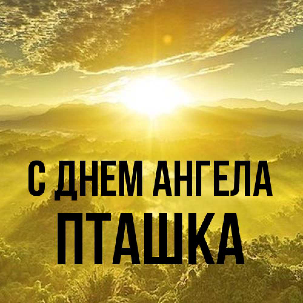 Открытка на каждый день с именем, пташка С днем ангела леса и небо в желтом Прикольная открытка с пожеланием онлайн скачать бесплатно 