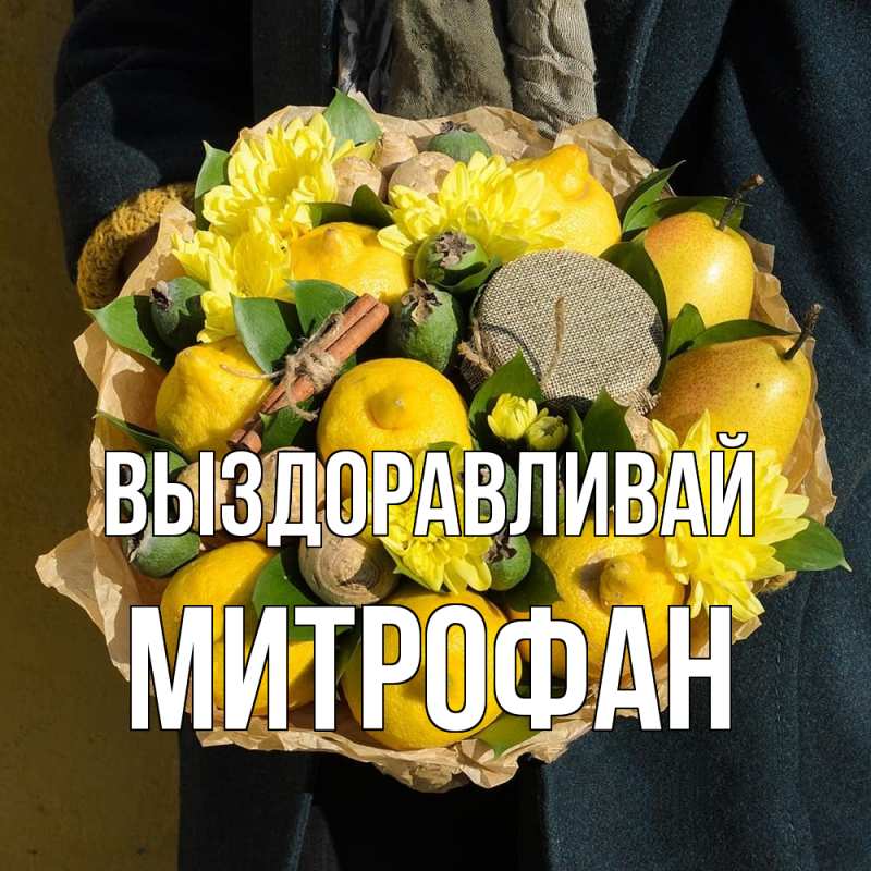 Картинка Выздоравливай, Митрофан