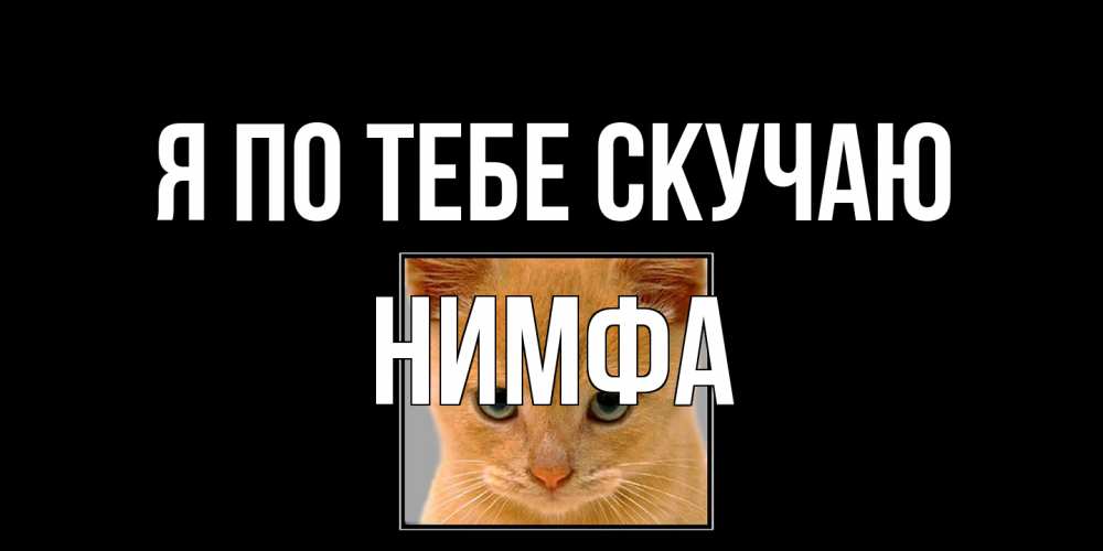 Открытка на каждый день с именем, Нимфа Я по тебе скучаю открытки рыжий котенок скучает по тебе Прикольная открытка с пожеланием онлайн скачать бесплатно 