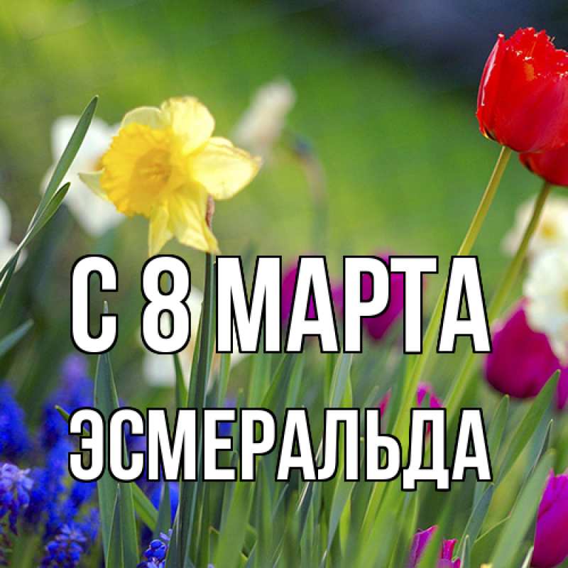 Картинка C 8 МАРТА, Эсмеральда