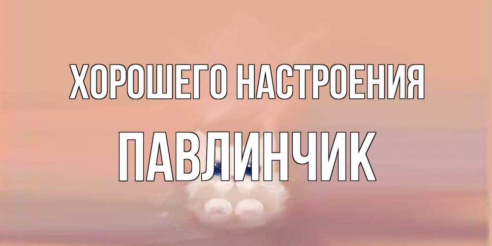 Открытка на каждый день с именем, Павлинчик Хорошего настроения кошка Прикольная открытка с пожеланием онлайн скачать бесплатно 
