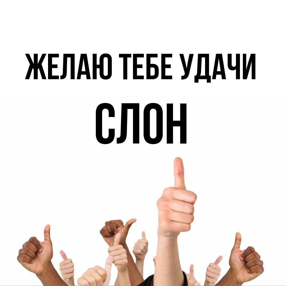 Открытка на каждый день с именем, Слон Желаю тебе удачи молодцом Прикольная открытка с пожеланием онлайн скачать бесплатно 