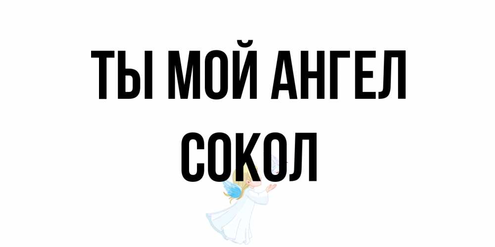 Открытка на каждый день с именем, Сокол Ты мой ангел ангел, голубь Прикольная открытка с пожеланием онлайн скачать бесплатно 