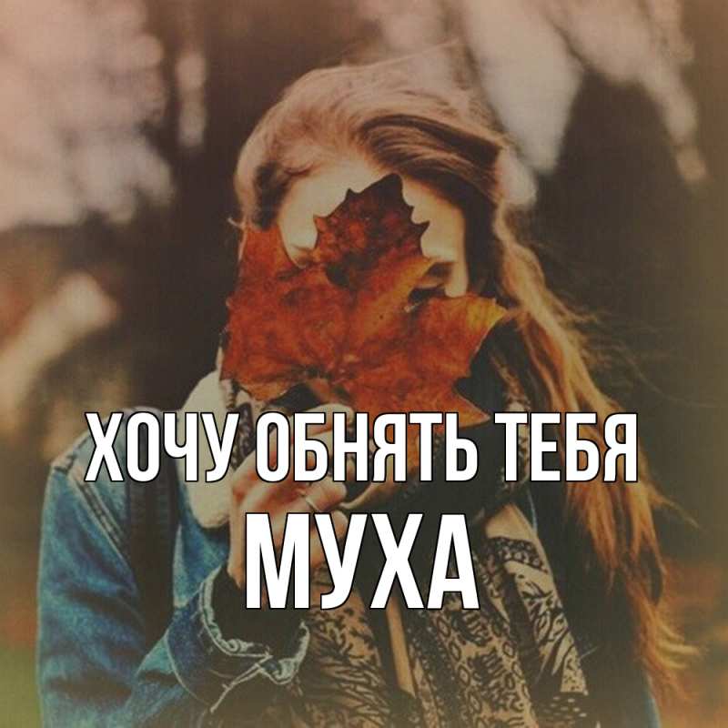 Картинка Хочу обнять тебя, Муха