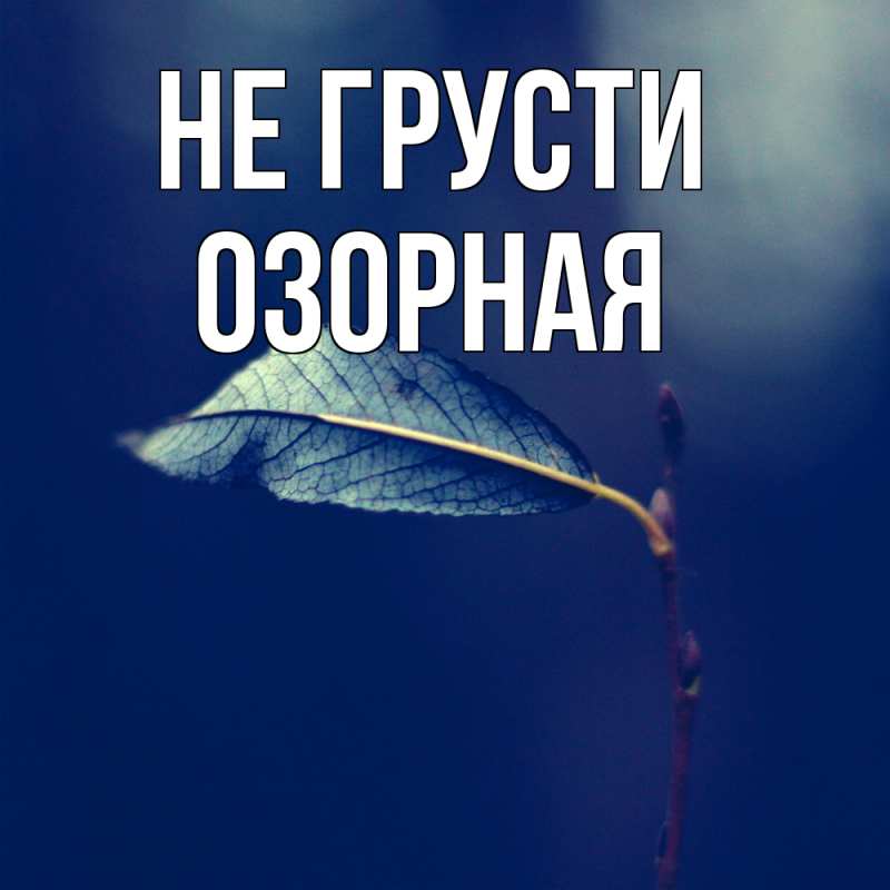 Картинка Не грусти, Озоpная