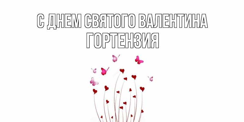 Картинка С днем Святого Валентина, Гортензия