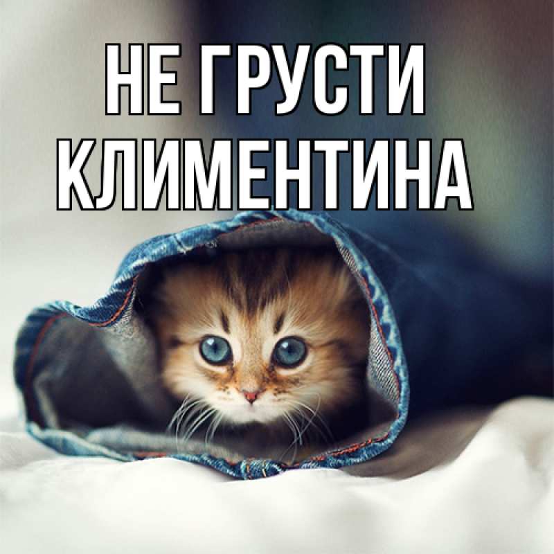 Картинка Не грусти, Климентина