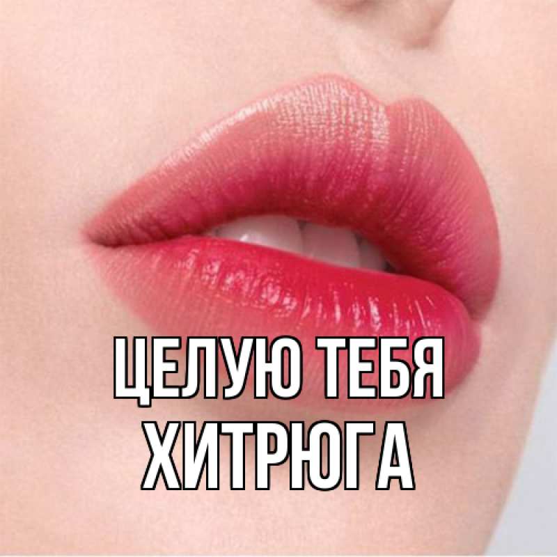 Картинка Целую тебя, хитрюга