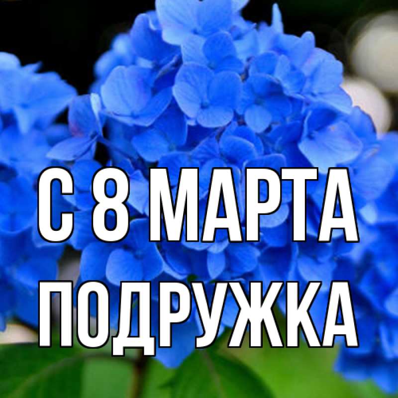 Картинка C 8 МАРТА, Подружка