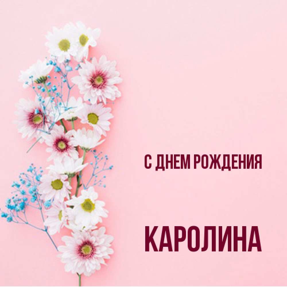 Открытка на каждый день с именем, Каролина С днем рождения Родная моя с днем рождения тебя картинка с цветами белыми и голубыми Прикольная открытка с пожеланием онлайн скачать бесплатно 