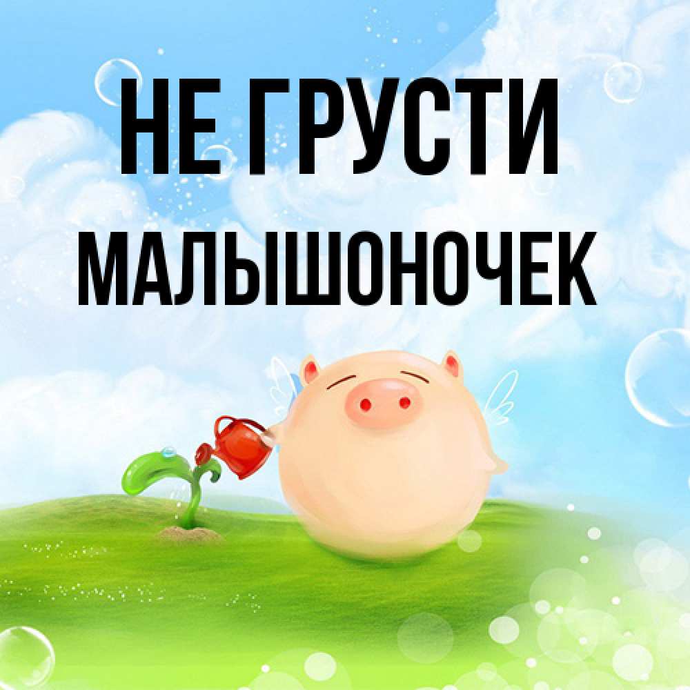 Открытка на каждый день с именем, Малышоночек Не грусти поливает цветок порося Прикольная открытка с пожеланием онлайн скачать бесплатно 