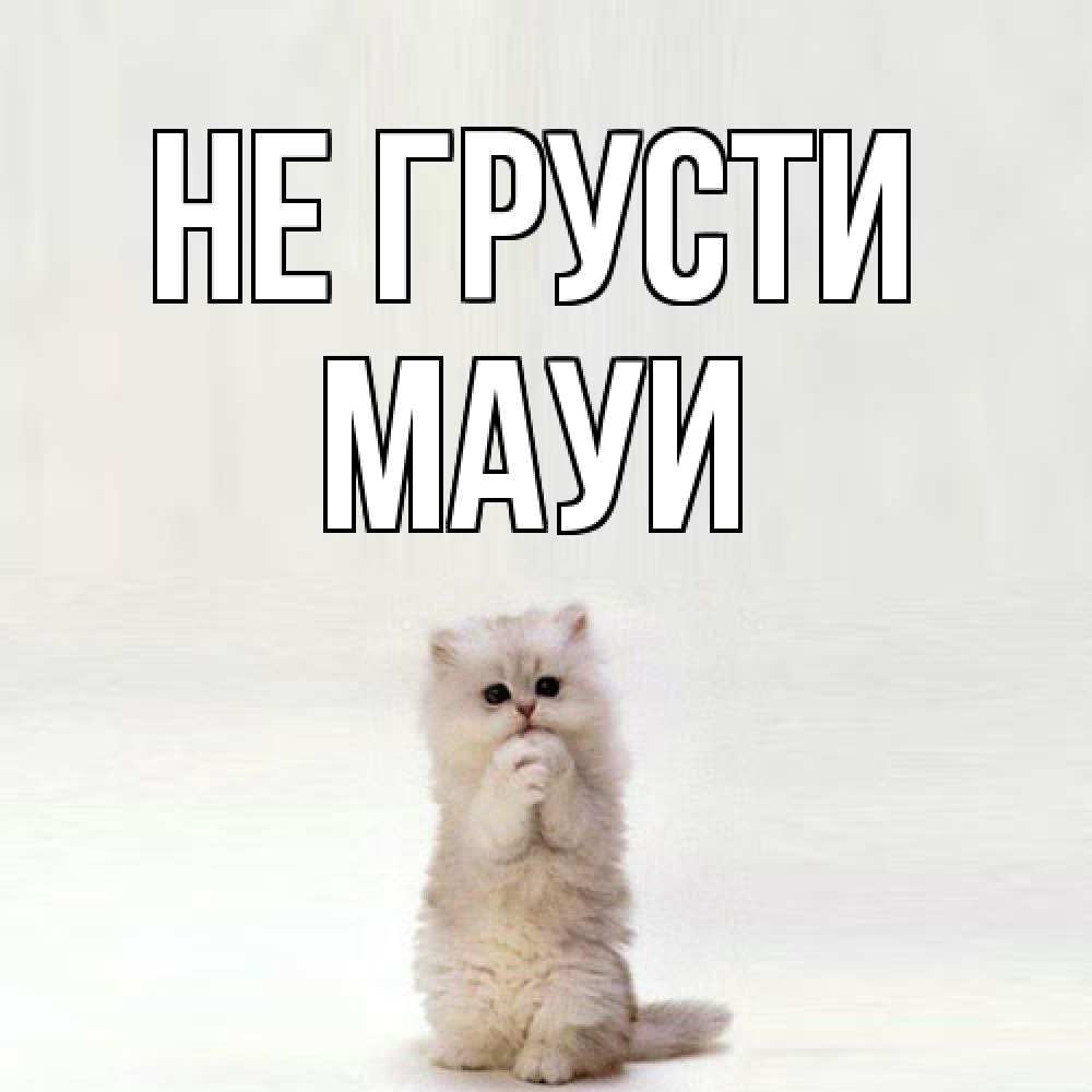 Открытка на каждый день с именем, Мауи Не грусти грустный кот Прикольная открытка с пожеланием онлайн скачать бесплатно 