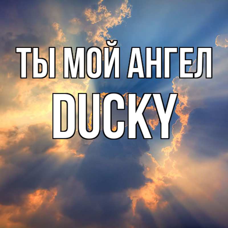 Картинка Ты мой ангел, Ducky