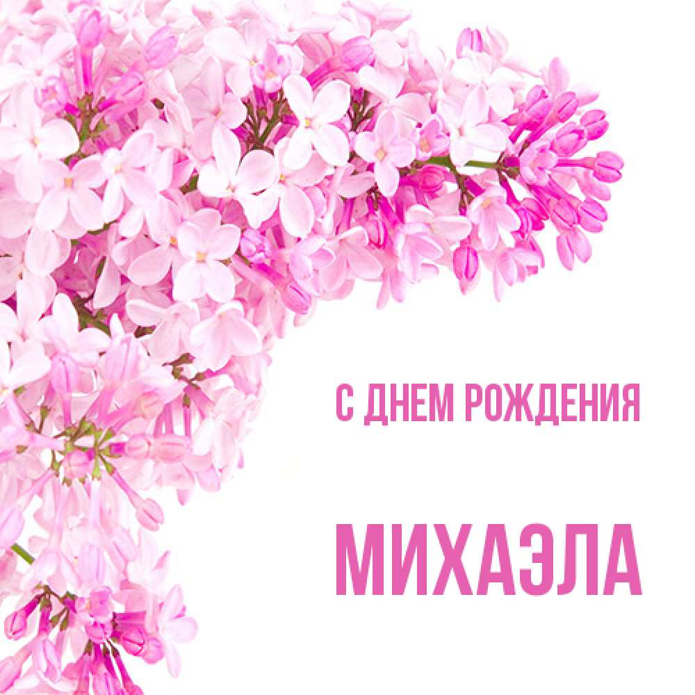 Открытка на каждый день с именем, Михаэла С днем рождения Сирень на белом фоне Прикольная открытка с пожеланием онлайн скачать бесплатно 