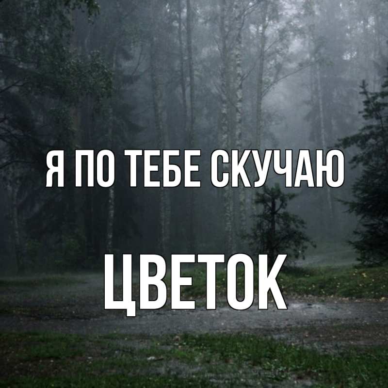 Картинка Я по тебе скучаю, Цветок