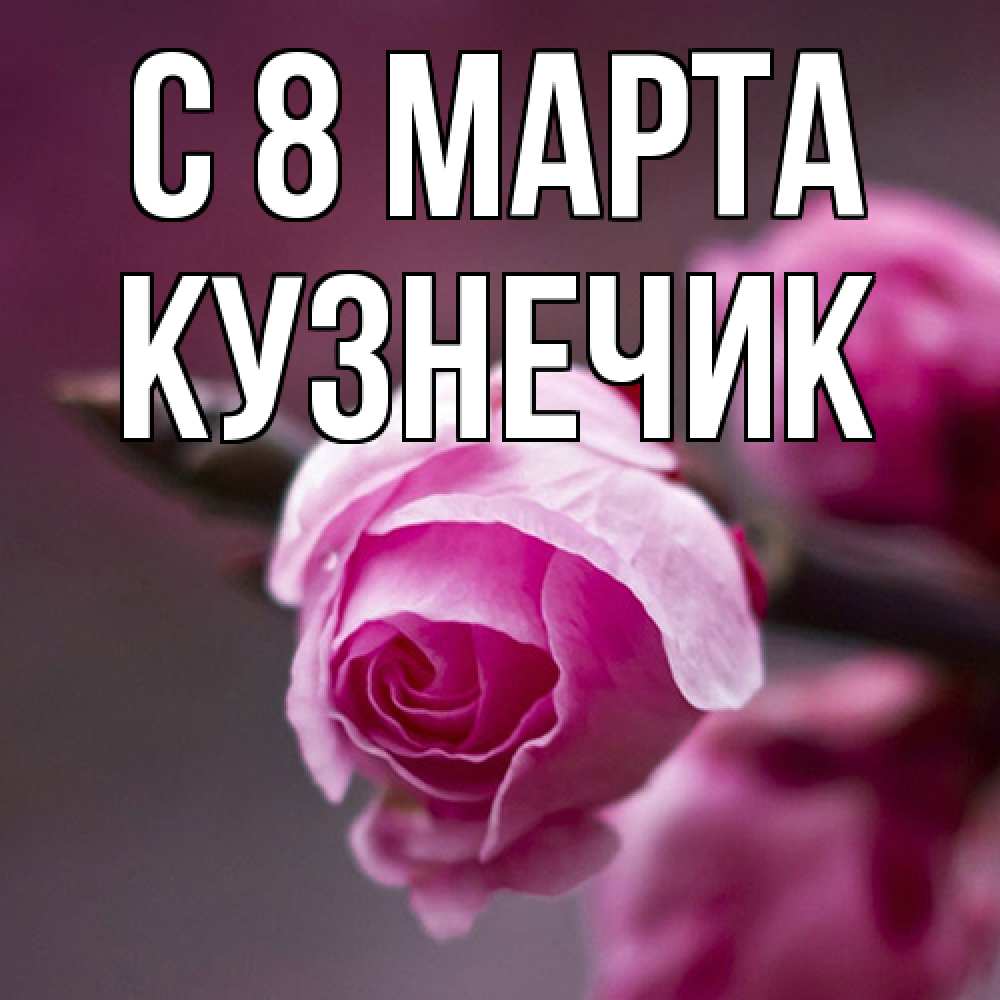 Открытка на каждый день с именем, Кузнечик C 8 МАРТА весна Прикольная открытка с пожеланием онлайн скачать бесплатно 