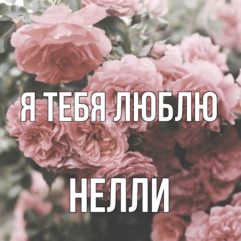 Картинка Я тебя люблю, Нелли