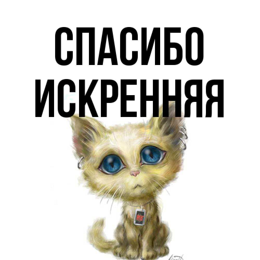 Открытка на каждый день с именем, Искренняя Спасибо рисованный кот благодарит вас Прикольная открытка с пожеланием онлайн скачать бесплатно 