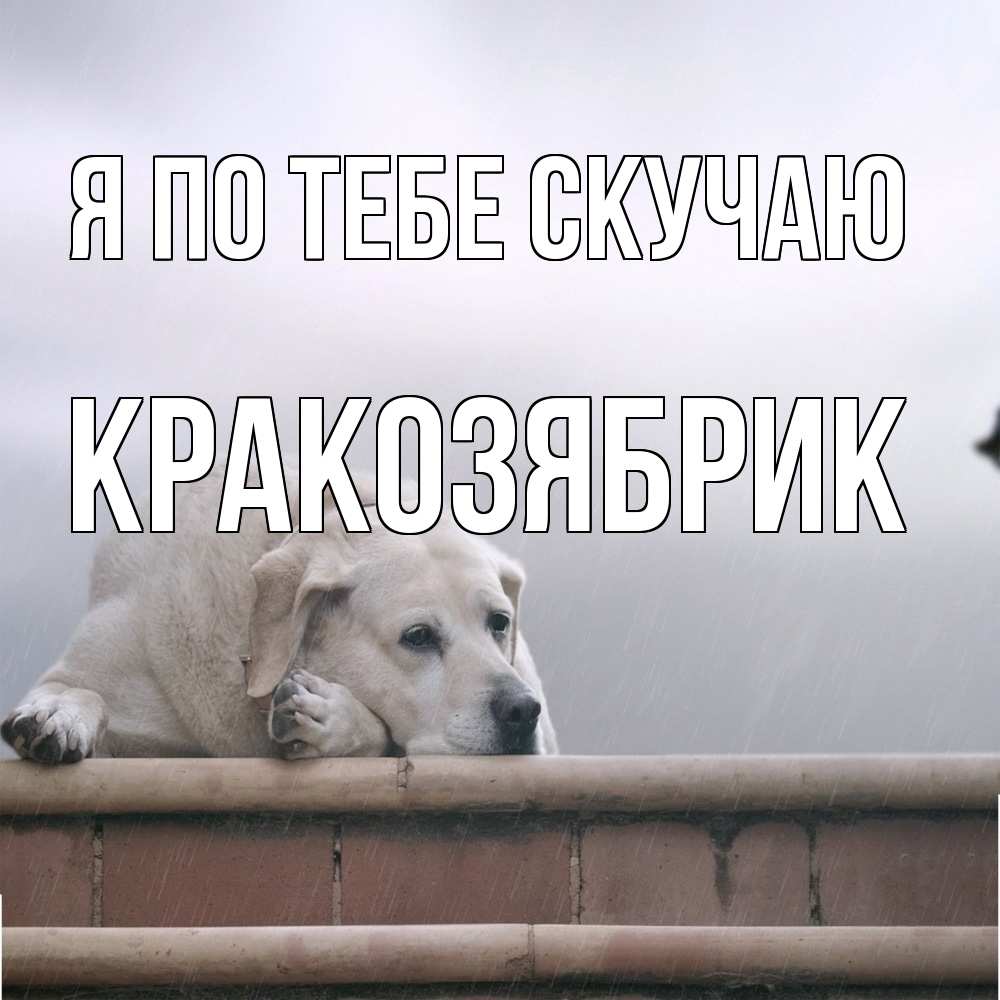 Открытка на каждый день с именем, Кракозябрик Я по тебе скучаю ждет Прикольная открытка с пожеланием онлайн скачать бесплатно 