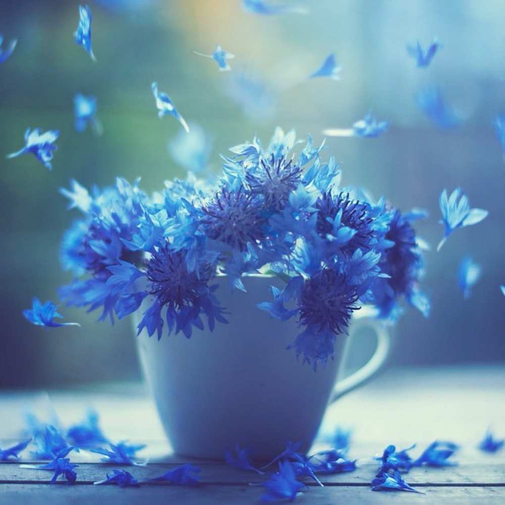 Открытка на каждый день с именем, Сорвиголова Выздоравливай кружка с зельем и цветами Прикольная открытка с пожеланием онлайн скачать бесплатно 