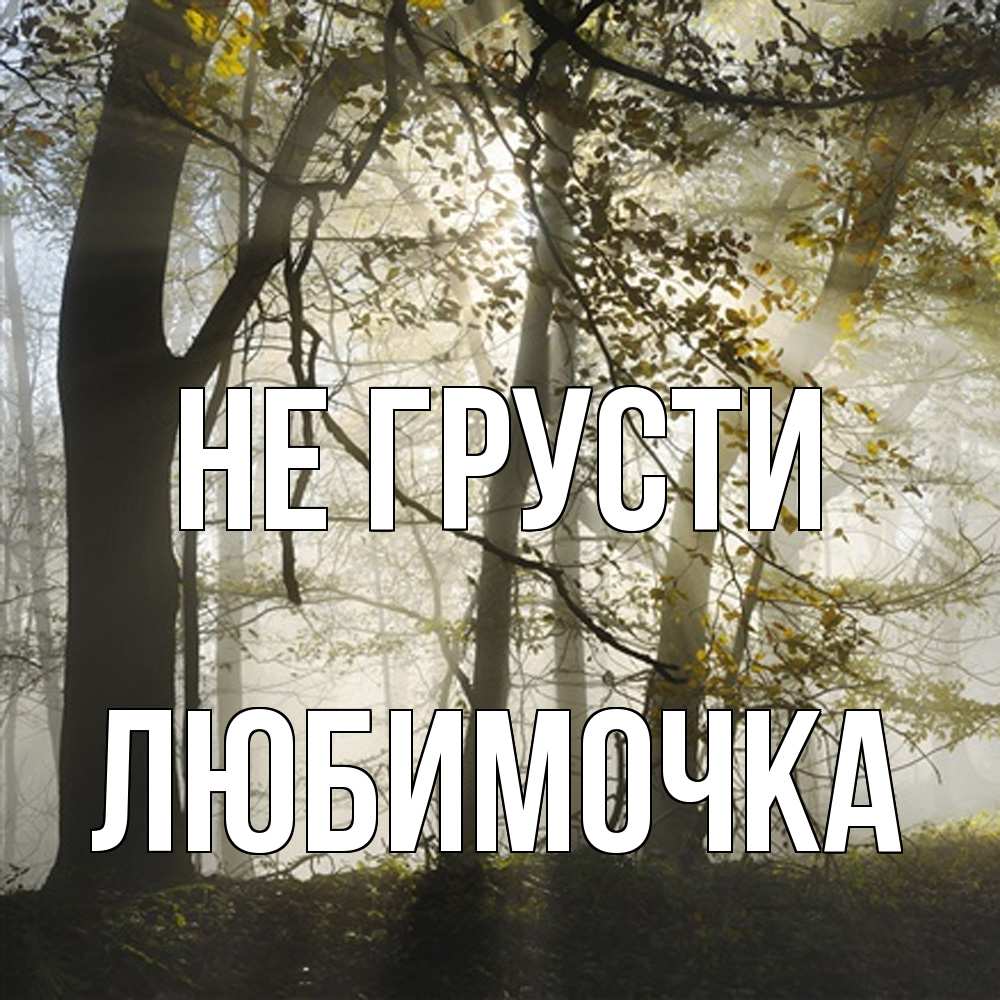 Открытка на каждый день с именем, Любимочка Не грусти лес и свет Прикольная открытка с пожеланием онлайн скачать бесплатно 