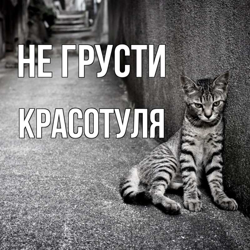 Картинка Не грусти, Красотуля