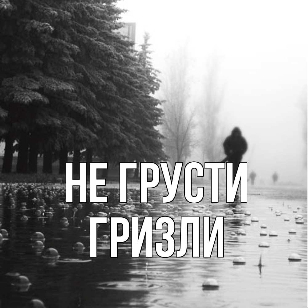 Открытка на каждый день с именем, Гризли Не грусти улица под дождем Прикольная открытка с пожеланием онлайн скачать бесплатно 