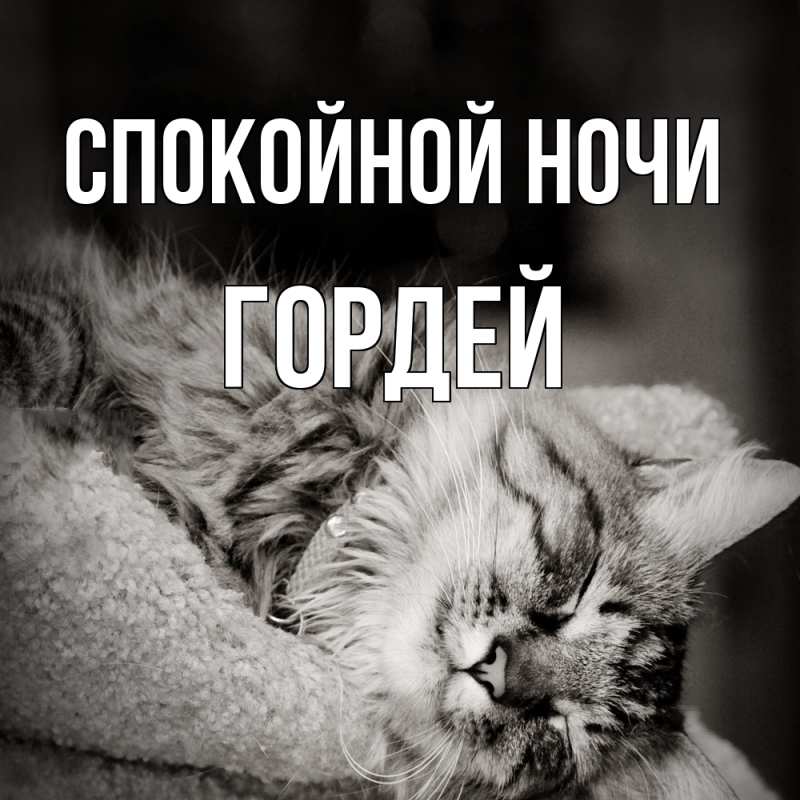 Картинка Спокойной ночи, Гордей