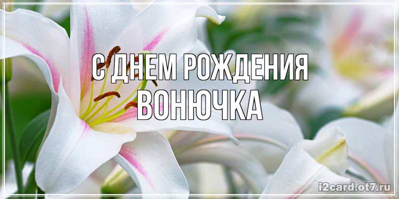 Картинка С днем рождения, Вонючка