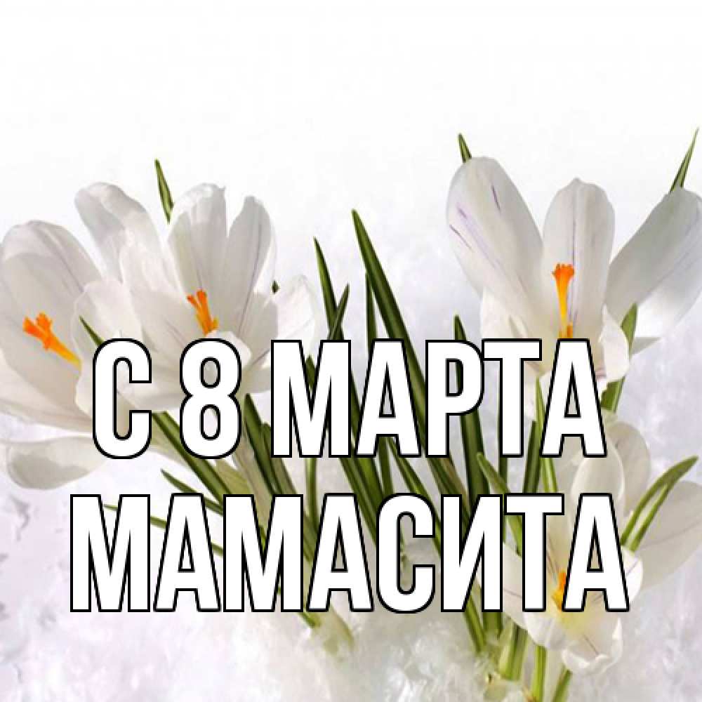 Открытка на каждый день с именем, Мамасита C 8 МАРТА под снегом Прикольная открытка с пожеланием онлайн скачать бесплатно 