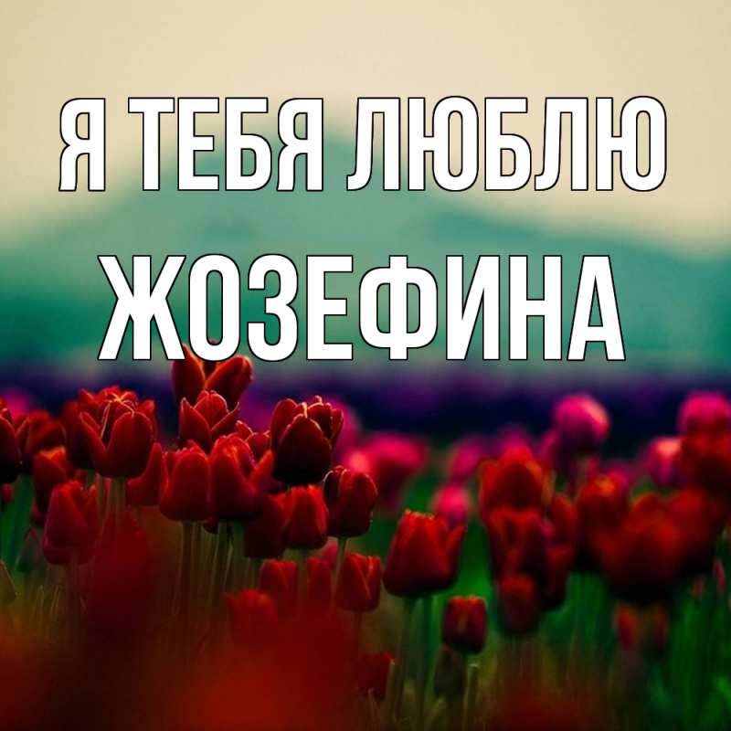 Картинка Я тебя люблю, Жозефина