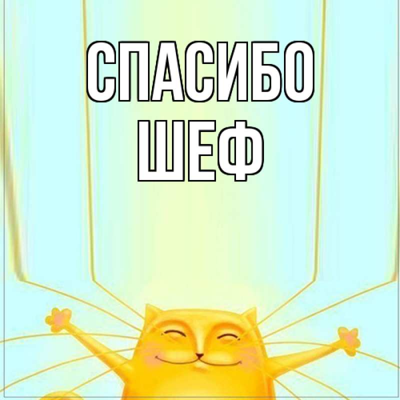 Картинка Спасибо, Шеф